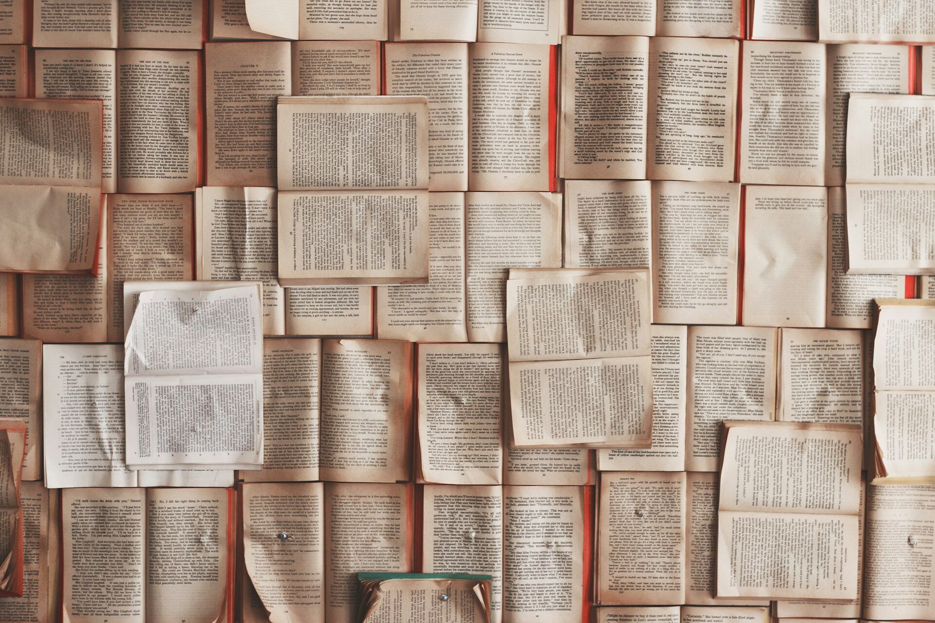 Professional terminology services